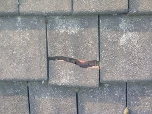 Roof-Maintenance-Reading-PA-Pennsylvania-1 - Oak Grove Roofing - Oak Grove Roofing